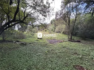 Área rural com 2 dormitórios, foto 25