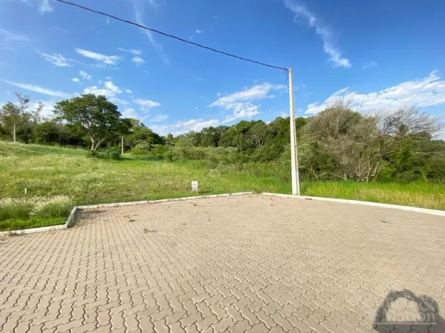 Área externa pavimentada com vegetação ao fundo.