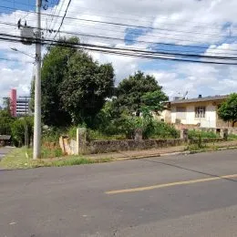 Vista da rua em Lajeado, Brasil, com postes de energia e vegetação.