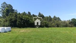 Campo verde com vegetação densa ao fundo.