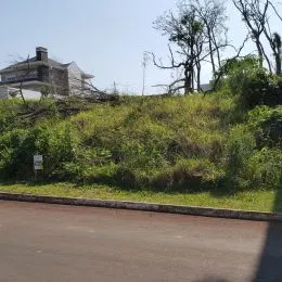 Vegetação densa e árvores ao longo de uma estrada em Lajeado.