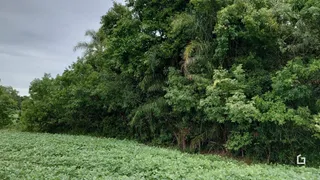 Terreno, foto 7
