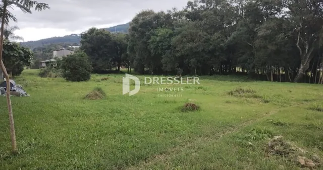 Terreno, foto 5