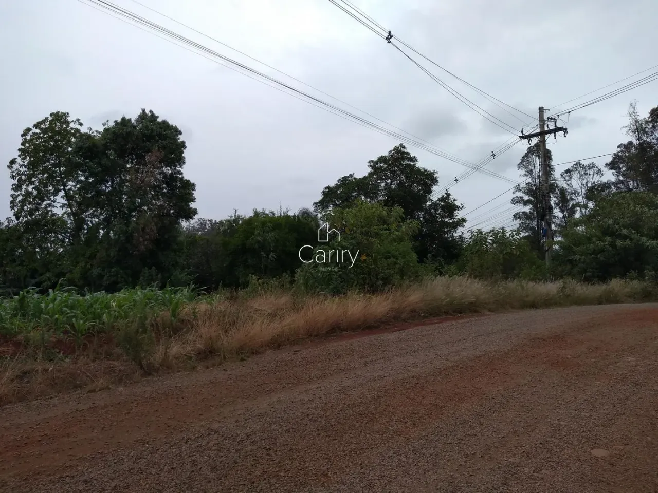 Terreno, foto 1