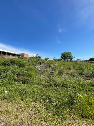 Terreno, foto 3