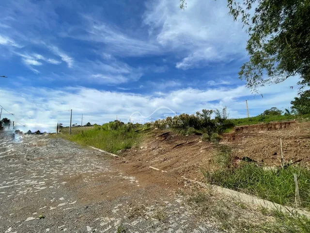 Vista externa mostrando uma estrada de terra e vegetação em uma área aberta.