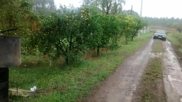 Terreno, foto 4