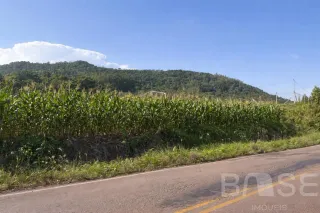 Terreno, foto 4