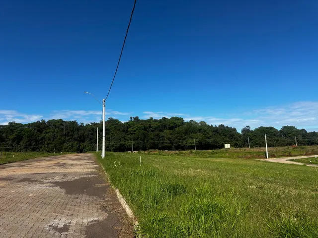 Vista de um campo aberto com vegetação verde e uma estrada de terra.