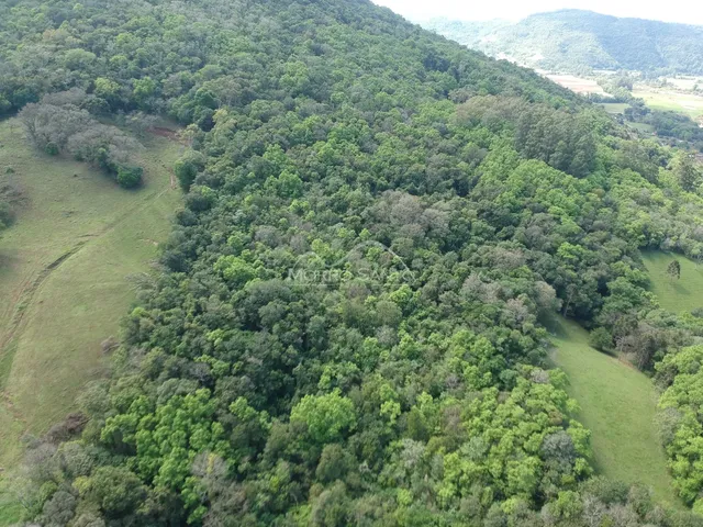 Área rural, foto 5