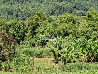 Terreno, foto 6