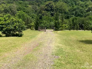 Área rural com 3 dormitórios, foto 8