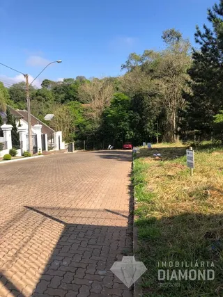 Terreno, foto 3