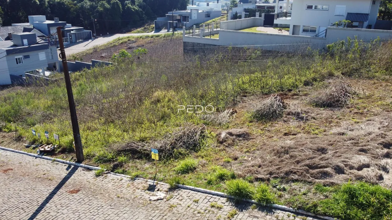 Paisagem de terreno com vegetação seca ao lado de uma estrada.
