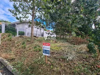 Fachada de uma residência em Lajeado, Brasil, parcialmente coberta por vegetação densa.