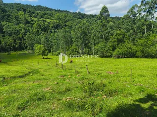 Área rural com 3 dormitórios, foto 4