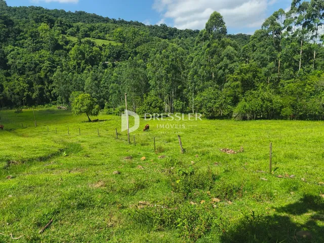 Área rural com 3 dormitórios, foto 4
