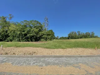 Vista de um campo aberto com vegetação densa ao fundo sob um céu azul.