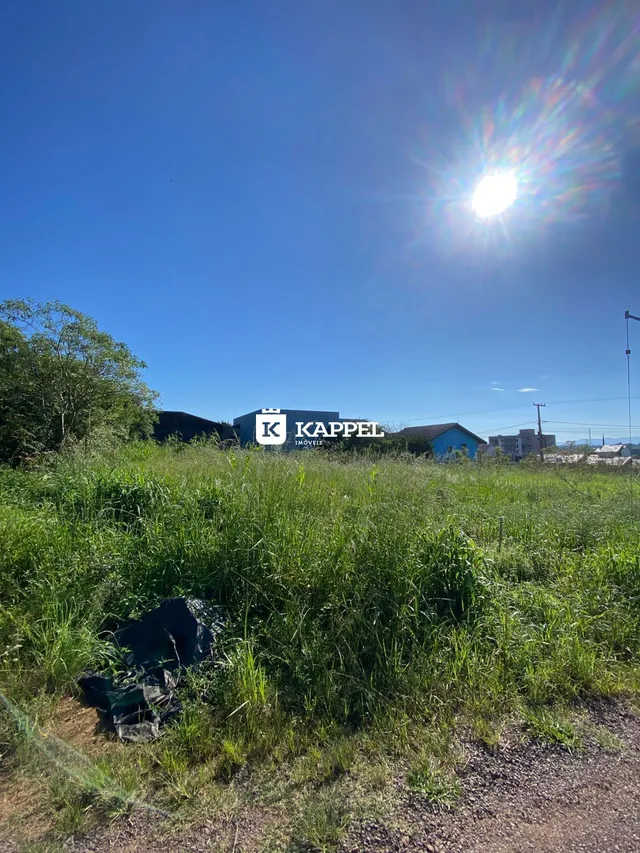 Paisagem externa com grama alta sob um céu azul claro.