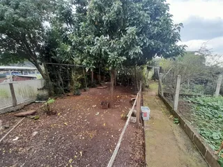 Área rural com 2 dormitórios, foto 7