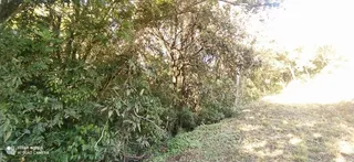 Terreno, foto 3