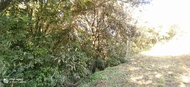 Terreno, foto 3