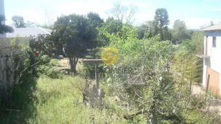 Terreno, foto 2