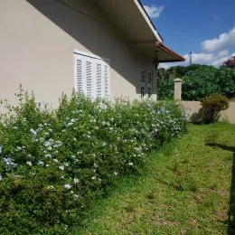Casa com 3 dormitórios, foto 13