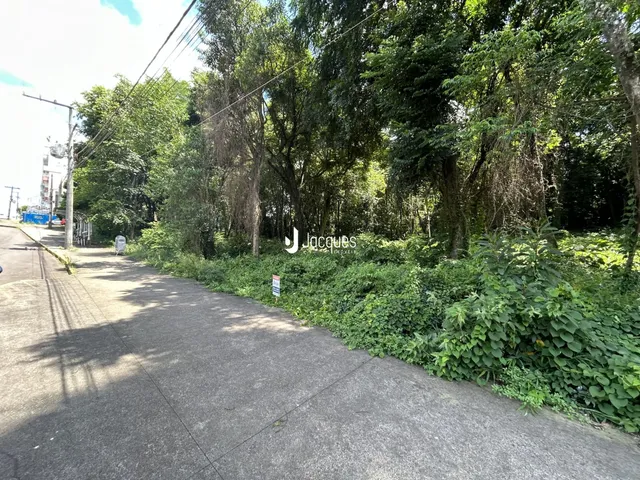 Terreno, foto 3
