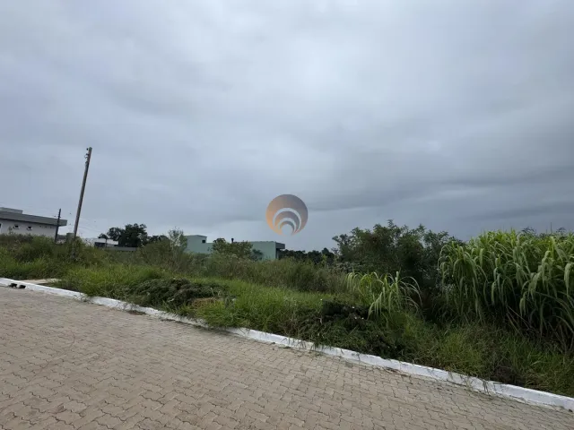 Terreno, foto 5