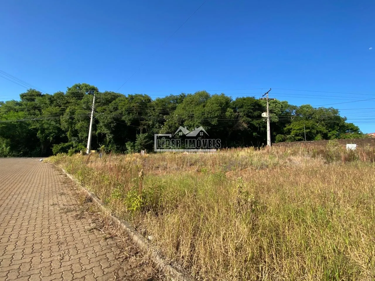 Terreno, foto 1