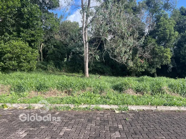 Vista de campo com vegetação densa e estrada no primeiro plano.