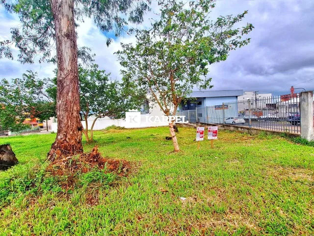Uma vista externa do jardim com grama e árvores em uma propriedade em Lajeado.