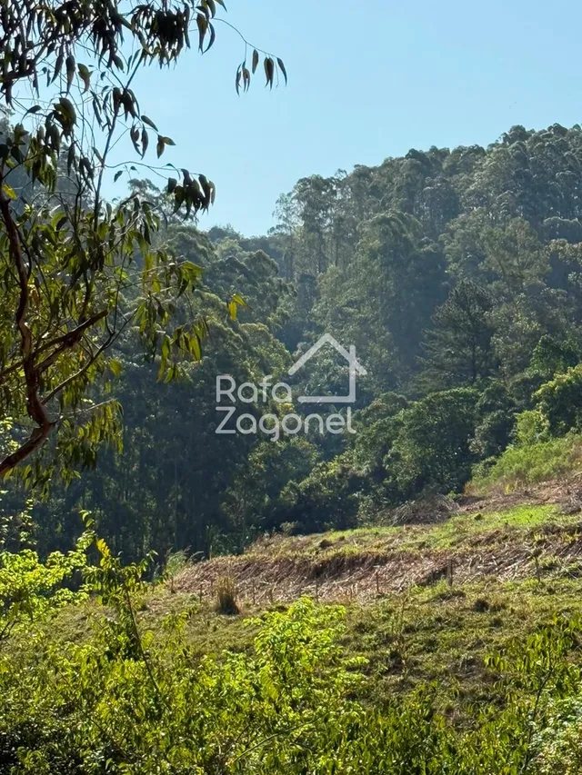 Área rural, foto 3