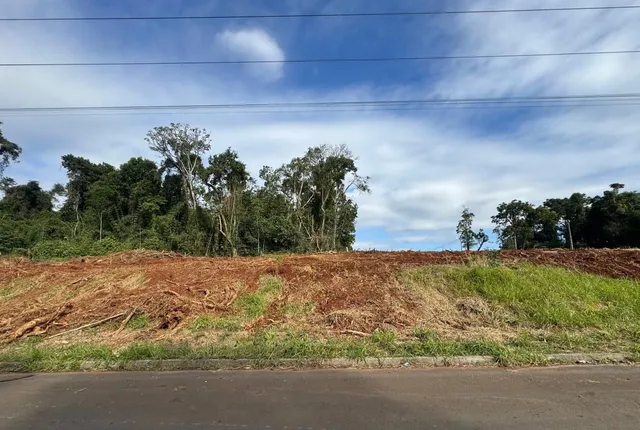 Terreno, foto 3