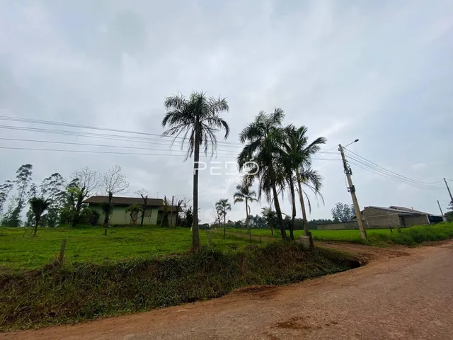 Terreno, foto 3