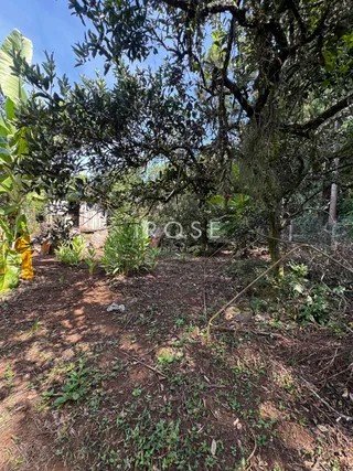 Casa com 2 dormitórios, foto 15