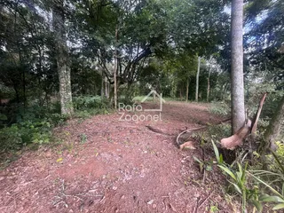 Terreno, foto 4