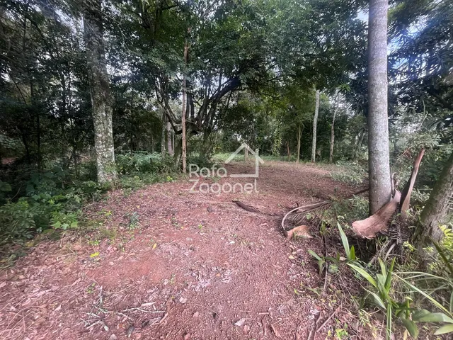 Terreno, foto 4