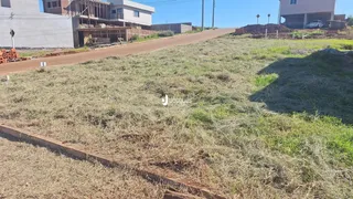 Terreno, foto 1