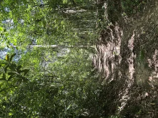 Imóvel, foto 6