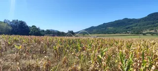 Área rural, foto 7