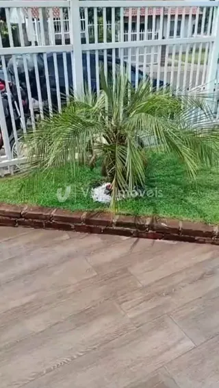 Casa com 2 dormitórios, foto 8