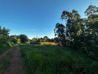 Área rural com 3 dormitórios, foto 47