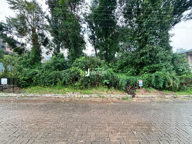 Vista da propriedade com vegetação densa ao lado da rua.
