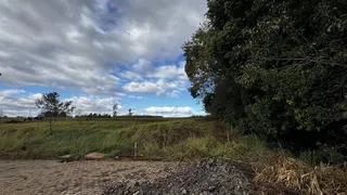 Terreno, foto 1
