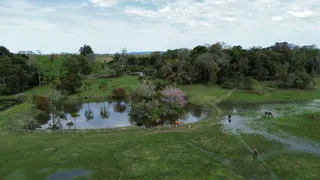 Imóvel, foto 3