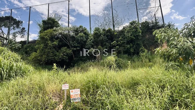 Terreno, foto 2