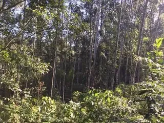 Imóvel, foto 3