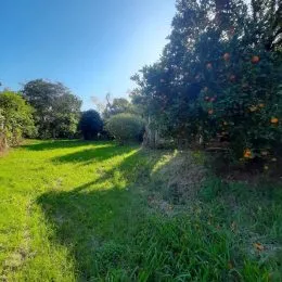 Vista de um gramado verde com vegetação ao fundo.